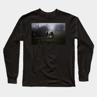 Through The Mist Long Sleeve T-Shirt